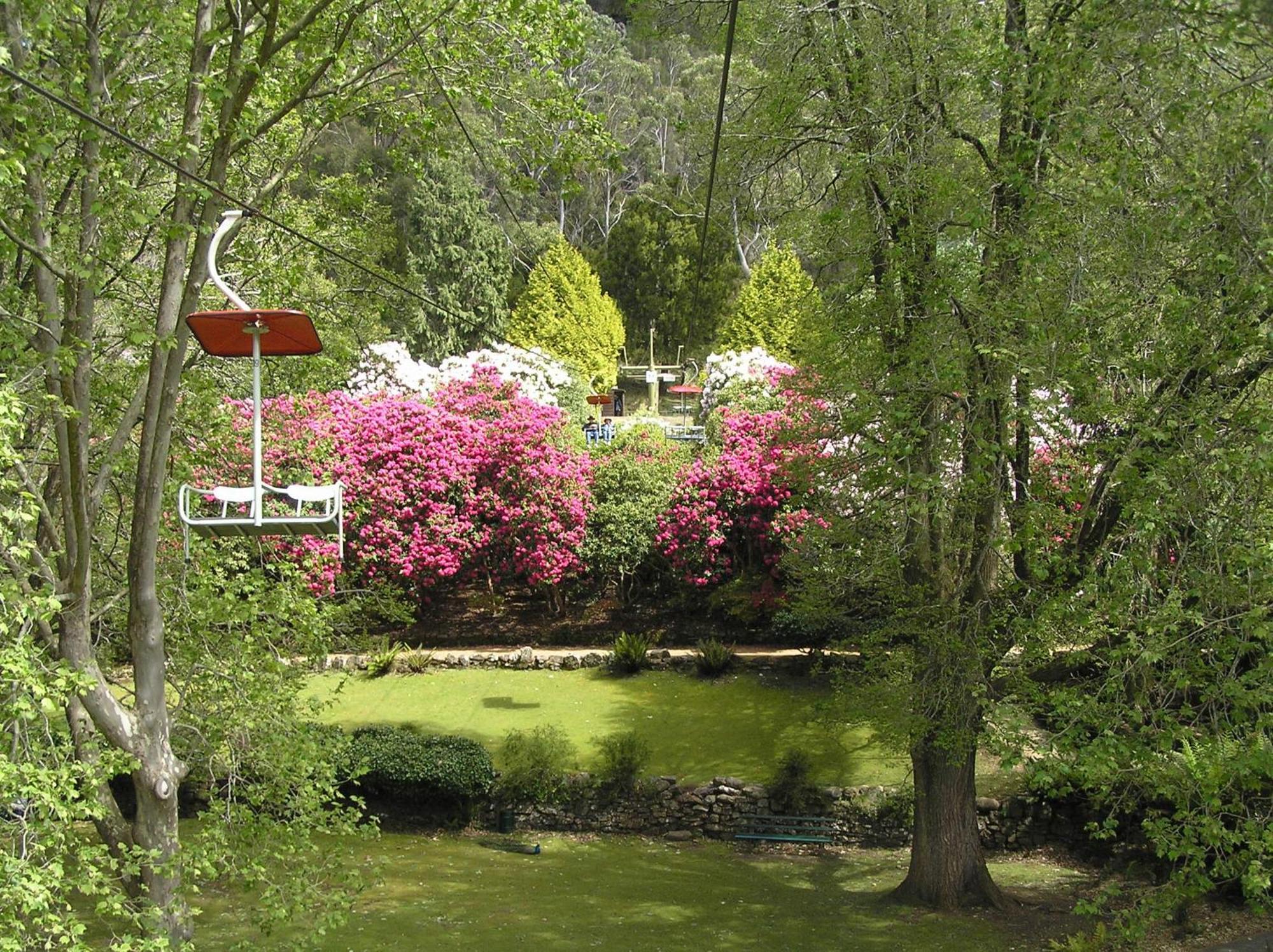 Auldington Hotel ลอนเชสตัน ภายนอก รูปภาพ